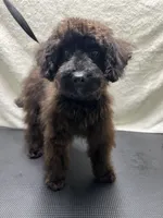 processed/a2bc9d9a-9ff6-4049-a32f-f00edd114b16/listing/859a8d61-ff86-4fde-a174-2740729ff322/b5fc3eb5-f611-4883-957c-a8b113f21605