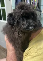 processed/a2bc9d9a-9ff6-4049-a32f-f00edd114b16/listing/859a8d61-ff86-4fde-a174-2740729ff322/c7d581db-8c2e-41cd-be8a-780cb7c997da