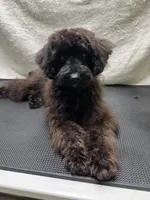 processed/a2bc9d9a-9ff6-4049-a32f-f00edd114b16/listing/859a8d61-ff86-4fde-a174-2740729ff322/f57659b5-e4d6-448b-bbc7-ddc20d45acbf