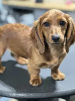 processed/a2c1f9c8-f757-4c8a-8ba9-f9601fa1a4a7/listing/a52e6738-3ef8-4fb1-8fe9-4a3bbc104afe/20d1ffdf-10d2-46f6-8f38-e28c5a42abc4