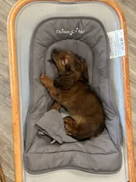 processed/a2c1f9c8-f757-4c8a-8ba9-f9601fa1a4a7/listing/a52e6738-3ef8-4fb1-8fe9-4a3bbc104afe/20f7ed1c-882e-48ba-96f7-0d79d77cbc7c