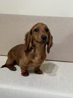 processed/a2c1f9c8-f757-4c8a-8ba9-f9601fa1a4a7/listing/a52e6738-3ef8-4fb1-8fe9-4a3bbc104afe/a8bb5224-a6b3-4294-a26e-70d8c57579c6