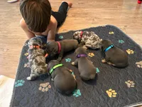 processed/a2c24334-8c49-46c9-ad42-525686dfbe82/facility/4d54ef4c-fc52-49f0-87dc-3a22d8cb8197