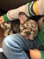 processed/a2c24334-8c49-46c9-ad42-525686dfbe82/facility/95d2d878-52d4-45f2-9c9d-d8b1c8324158