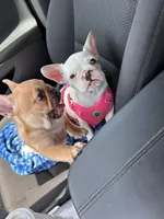 processed/a2c24334-8c49-46c9-ad42-525686dfbe82/facility/b916cea2-dbd9-4802-bb7a-49c9aeaa1b68