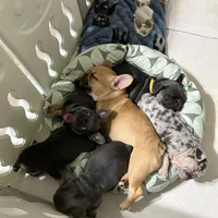 Facility photo