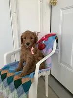 processed/a2c6c8b7-0854-4e8c-a905-07a7e5fd1dd2/listing/2cb2aa8a-f990-4f62-801b-da575e8d680e/42b2940c-2529-4b70-9a5d-28ccc466eee7