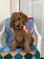 processed/a2c6c8b7-0854-4e8c-a905-07a7e5fd1dd2/listing/2cb2aa8a-f990-4f62-801b-da575e8d680e/47954291-1958-44f9-873a-037a28976e70