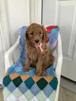 processed/a2c6c8b7-0854-4e8c-a905-07a7e5fd1dd2/listing/2cb2aa8a-f990-4f62-801b-da575e8d680e/7da050c3-7779-4bac-82ce-c426d2e372bb