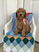 processed/a2c6c8b7-0854-4e8c-a905-07a7e5fd1dd2/listing/2cb2aa8a-f990-4f62-801b-da575e8d680e/9ec34abd-6914-4f13-8401-28f5ed1df8be