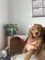 processed/a2c6c8b7-0854-4e8c-a905-07a7e5fd1dd2/listing/2cb2aa8a-f990-4f62-801b-da575e8d680e/cdedacec-c9f7-45be-95fa-d6b0840813cd