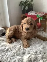 processed/a2c6c8b7-0854-4e8c-a905-07a7e5fd1dd2/listing/5d0ef2fe-3ab2-41c5-af6c-9fd6c2d11112/61048181-46b7-4b5d-bcaf-643f0452163e