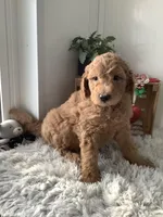 processed/a2c6c8b7-0854-4e8c-a905-07a7e5fd1dd2/listing/5d0ef2fe-3ab2-41c5-af6c-9fd6c2d11112/6acd9b67-4ed8-4a2b-91ff-fa1c6df9f84d