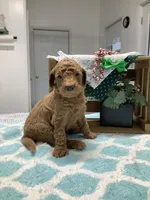 processed/a2c6c8b7-0854-4e8c-a905-07a7e5fd1dd2/listing/5d0ef2fe-3ab2-41c5-af6c-9fd6c2d11112/ba36ccc6-9411-4405-bcf4-5b4b9ed8a50a