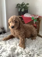 processed/a2c6c8b7-0854-4e8c-a905-07a7e5fd1dd2/listing/5d0ef2fe-3ab2-41c5-af6c-9fd6c2d11112/c33ff228-716b-492d-8a1a-404026b68058