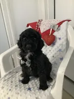 processed/a2c6c8b7-0854-4e8c-a905-07a7e5fd1dd2/listing/5e7a6f7f-9f9e-462d-b2a2-634c5b94ef53/29c99e81-dd89-415d-8c07-e0decac96a5b