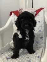 processed/a2c6c8b7-0854-4e8c-a905-07a7e5fd1dd2/listing/5e7a6f7f-9f9e-462d-b2a2-634c5b94ef53/3cd3f1e0-f75e-4e96-b951-7bfe1c2974c7