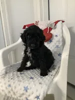 processed/a2c6c8b7-0854-4e8c-a905-07a7e5fd1dd2/listing/5e7a6f7f-9f9e-462d-b2a2-634c5b94ef53/4e9413dc-f29d-45d8-b003-acf501e913d0