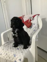 processed/a2c6c8b7-0854-4e8c-a905-07a7e5fd1dd2/listing/5e7a6f7f-9f9e-462d-b2a2-634c5b94ef53/54f50cd9-693e-48e1-bda6-6149298d83d1