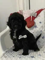 processed/a2c6c8b7-0854-4e8c-a905-07a7e5fd1dd2/listing/5e7a6f7f-9f9e-462d-b2a2-634c5b94ef53/68dba1bd-38f3-445d-b01a-73ee92f02682