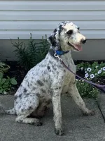 processed/a2c6c8b7-0854-4e8c-a905-07a7e5fd1dd2/listing/5e7a6f7f-9f9e-462d-b2a2-634c5b94ef53/6f48746e-2812-41a6-8217-bf4e0abbf7a8