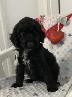 processed/a2c6c8b7-0854-4e8c-a905-07a7e5fd1dd2/listing/5e7a6f7f-9f9e-462d-b2a2-634c5b94ef53/eb6f6777-0d50-42f2-9ab6-8e21cb29909d