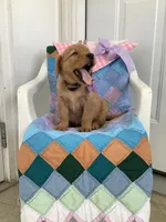 Sally , a male Golden Retriever for sale in Baltic, OH – 3 of 8