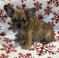 processed/a2ccf6c1-a14a-4e60-a91b-27efa6105f6e/listing/d6ed7a33-d4ee-414c-a4ed-75613be8da4f/471495f5-f000-43b3-9d8d-32955a96b58e