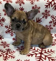 processed/a2ccf6c1-a14a-4e60-a91b-27efa6105f6e/listing/d6ed7a33-d4ee-414c-a4ed-75613be8da4f/6220273e-bc9e-4072-a381-250a959d06de