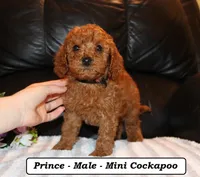 processed/a2d0cde6-820f-4a8c-a686-47213e8e9917/listing/27943bbf-3927-4271-99bf-629653b8f534/980b533e-cce0-43b7-bf07-69e7fe6a6034