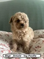 processed/a2d0cde6-820f-4a8c-a686-47213e8e9917/listing/d76c32d6-f1bd-431b-ac5f-32ad74f7a77e/14261bcc-447d-411c-8137-70ea92586613