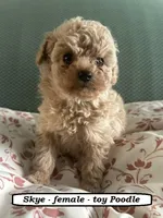 processed/a2d0cde6-820f-4a8c-a686-47213e8e9917/listing/d76c32d6-f1bd-431b-ac5f-32ad74f7a77e/a8be302e-b81b-4faa-9985-f47e3a11c047