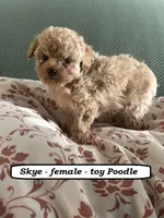 processed/a2d0cde6-820f-4a8c-a686-47213e8e9917/listing/d76c32d6-f1bd-431b-ac5f-32ad74f7a77e/c2ba777b-6276-4148-ad8c-9c42b1b23944