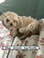 processed/a2d0cde6-820f-4a8c-a686-47213e8e9917/listing/d76c32d6-f1bd-431b-ac5f-32ad74f7a77e/f46aa064-aefa-4340-b884-a70008a79471