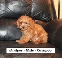 processed/a2d0cde6-820f-4a8c-a686-47213e8e9917/listing/e88897a7-8800-4ea5-bfa2-15dc921fcc73/c991e992-37bd-4005-9a30-b6eb7802cf68