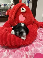 processed/a2d1c3a8-2c3a-4934-8372-2b44bf57c2b9/listing/6fbc0c7a-8136-4da7-9d42-621240b26ed5/42680db8-fa22-4322-a264-55159d967ff9