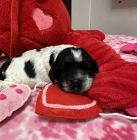 processed/a2d1c3a8-2c3a-4934-8372-2b44bf57c2b9/listing/6fbc0c7a-8136-4da7-9d42-621240b26ed5/fd1ee305-8f24-4d3a-a9ca-7b81bfc9f38e