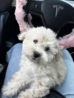 processed/a2da7c01-17e6-4653-b61e-6154cb5facfe/facility/0d93cb71-a031-464c-9e6f-e88a468070e9