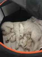 processed/a2da7c01-17e6-4653-b61e-6154cb5facfe/facility/b50ae752-220f-4046-b36c-a8405fc501d9