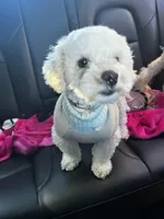 processed/a2da7c01-17e6-4653-b61e-6154cb5facfe/facility/df2d911e-de8b-4ab2-8f58-75b54e9d2370