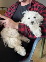 processed/a2da7c01-17e6-4653-b61e-6154cb5facfe/facility/e7ad537f-6451-446c-9497-d9723456f0d2