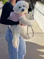 processed/a2da7c01-17e6-4653-b61e-6154cb5facfe/facility/e8e0a20e-baec-4773-9021-079448997ac9