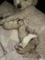 processed/a2da7c01-17e6-4653-b61e-6154cb5facfe/facility/ee06bd71-af9a-45d8-9d61-e963d1fca428