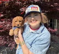 Finn, a male Cavapoo and Poodle - Miniature  for sale in Knoxville, TN – 2 of 10