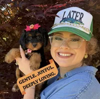 Willow, a female Cavapoo and Poodle - Miniature  for sale in Knoxville, TN – 1 of 4