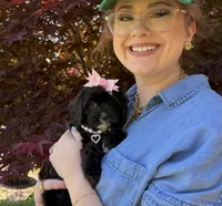 Primrose, a female Cavapoo for sale in Knoxville, TN – 4 of 5