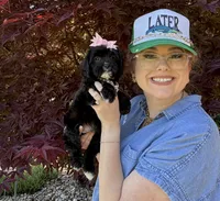 Primrose, a female Cavapoo for sale in Knoxville, TN – 5 of 5