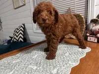 processed/a2de63ad-a554-4bdb-8322-1716b326a31c/listing/94887b4c-8f05-45b8-b307-3745dfd1908a/83853140-003c-4099-a62f-c1d5b02eac9d