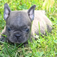 processed/a2e33f5f-e05b-4ed3-9b38-fe82ee7106b5/facility/3067ba44-00d2-4a5e-9524-eb015d3fafb7