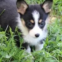 processed/a2e33f5f-e05b-4ed3-9b38-fe82ee7106b5/facility/36de68e6-d77a-4910-bdec-bfe4e09e37f9